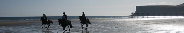beach_ride